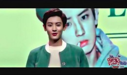 有娱乐圈爆料的小说,揭秘小说中的明星秘事